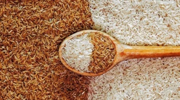 تحديثات الأسعار.. تحركات جديدة في سوق طن الأرز الشعير خلال تعاملات الخميس